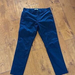 Banana Republic Dark Blue Chinos